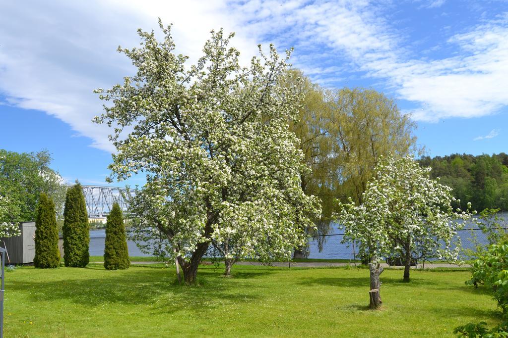 Lossiranta Lodge Savonlinna Kültér fotó